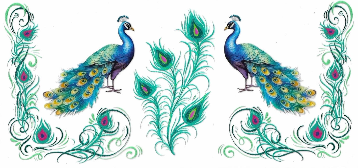 Peacocks Wrap 1910
