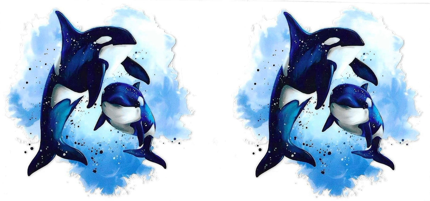 Orca Whales Wrap 677