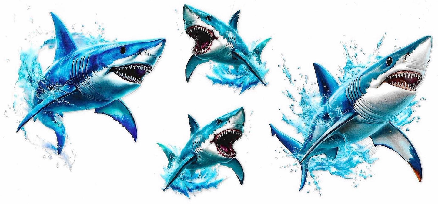 Sharks Wrap 2022