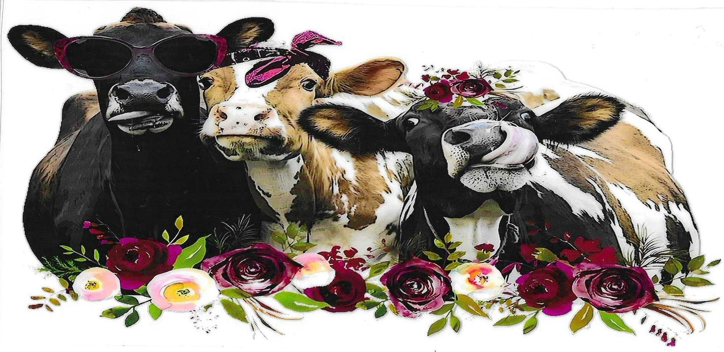 Cows Wrap 793