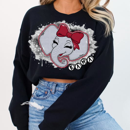Alabama Splatter PNG