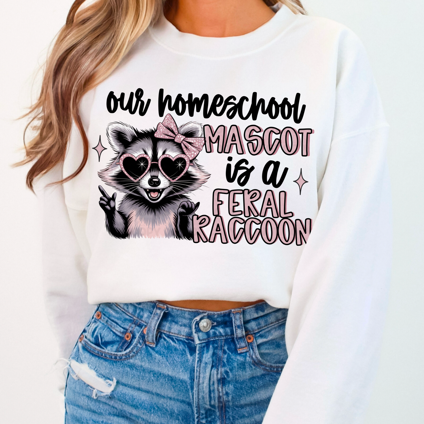 Our Homeschool Mascot Is A Feral Raccoon PNg