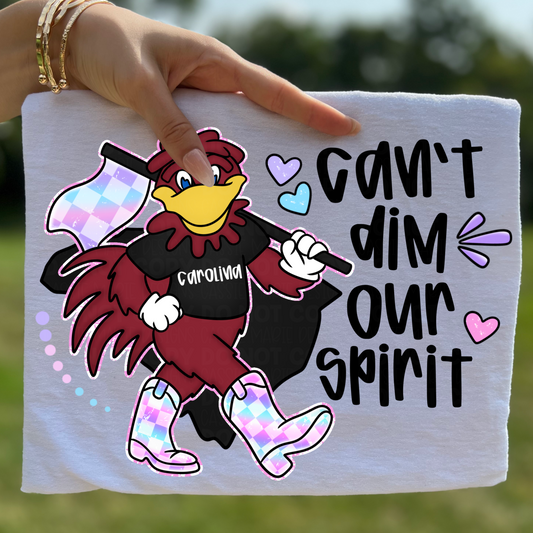 Carolina Can’t Dim Our Spirit PNG