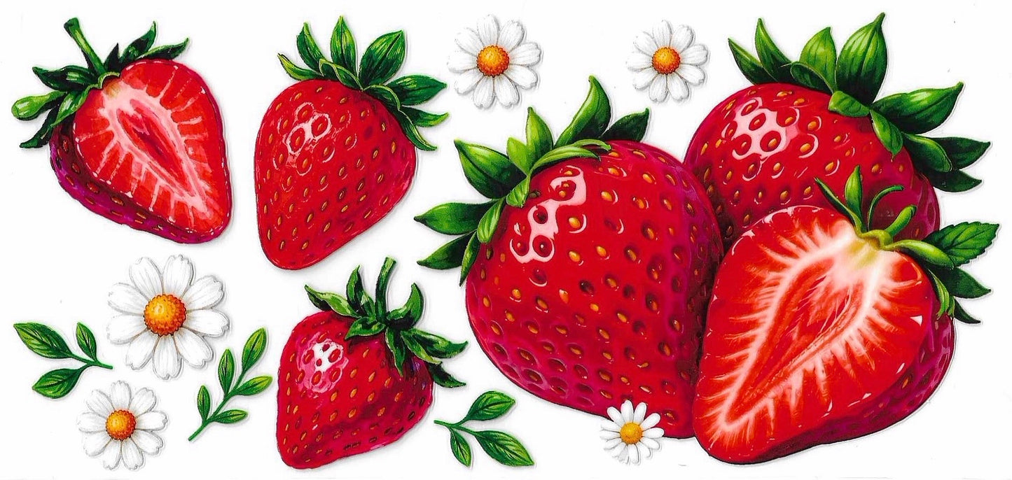 Strawberries Double-Sided Wrap 2010