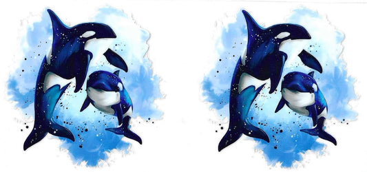Orca Whales Wrap 677