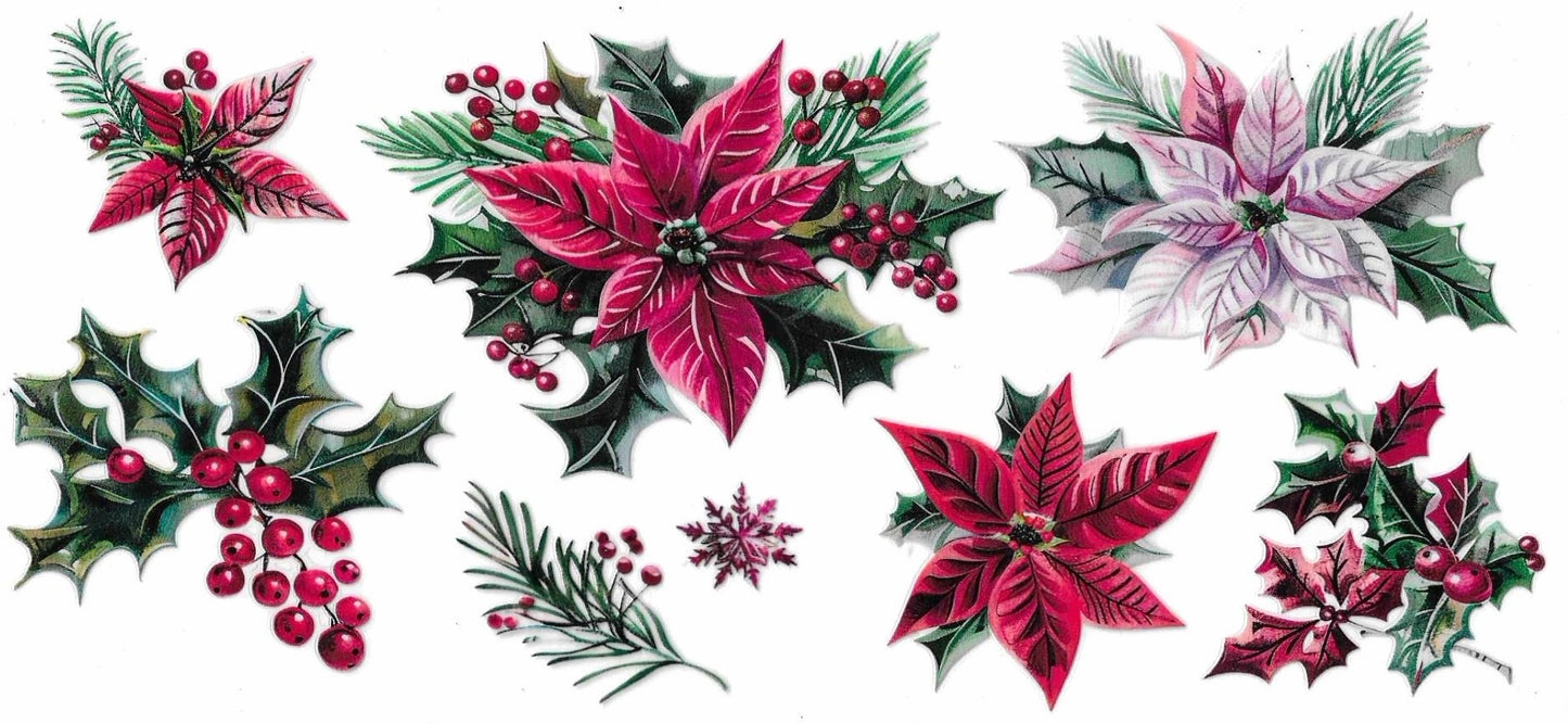 Poinsettias Wrap 1923