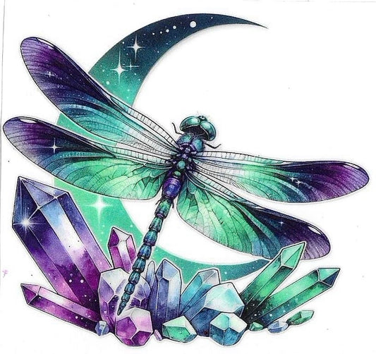 Dragonfly Decal 1654