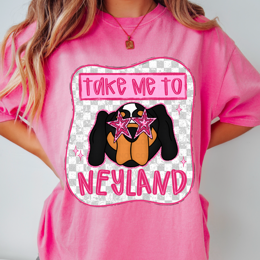 Take Me To Neyland PNG