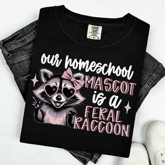 Our Homeschool Mascot Is A Feral Raccoon PNg