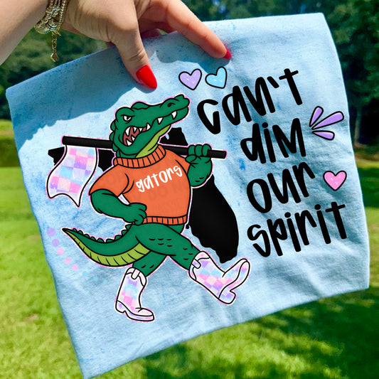 Florida Can’t Dim Our Spirit PNG